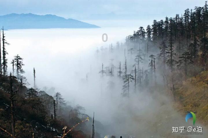 手术头架头部固定架